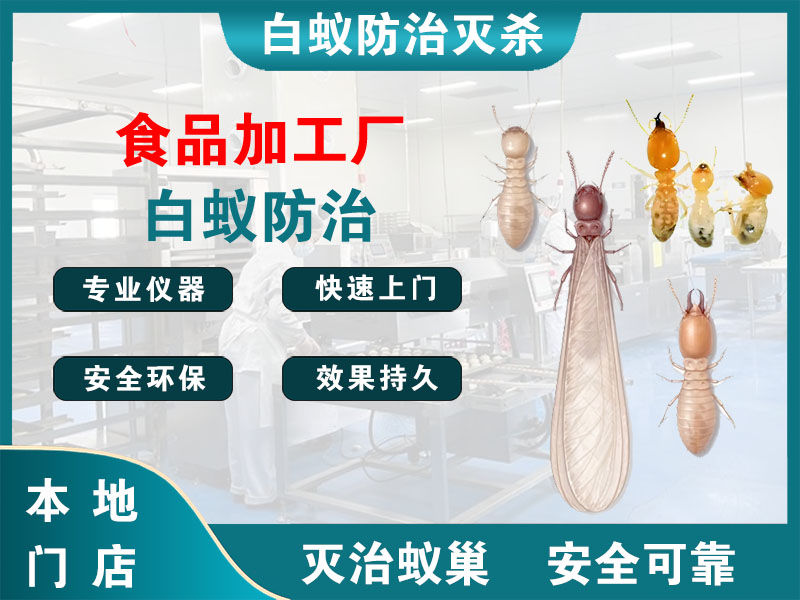 洞头食品加工厂白蚁防治